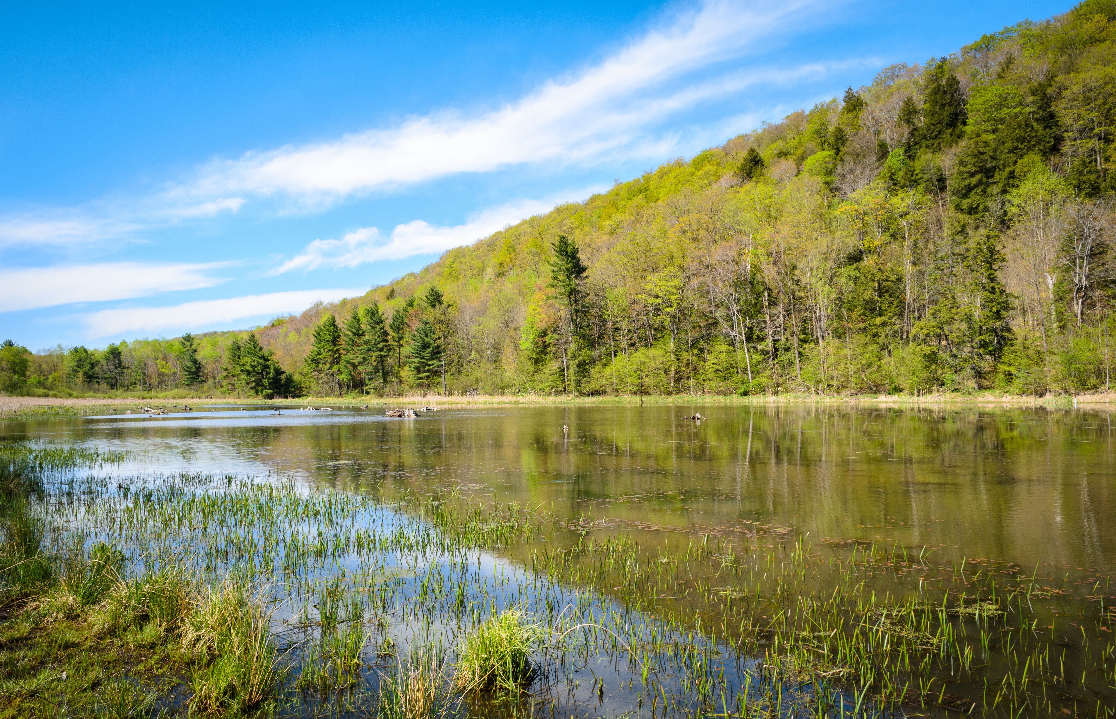 Allegheny Portage Railroad National Historic Site