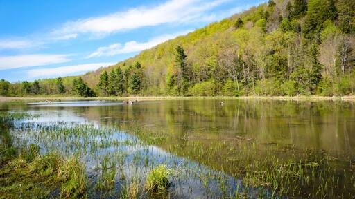 Allegheny Portage Railroad National Historic Site
