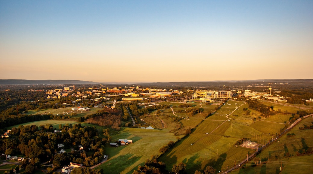 State College