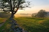 A tree-lined path with a stone wall, misty hills in the background, and a sunrise.