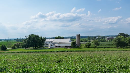 Amish country farmland