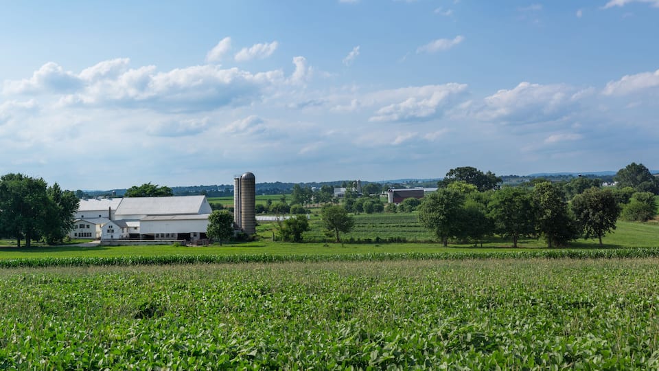 A rural landscape with a large white building, a silo, and a field of crops under a partly cloudy sky.