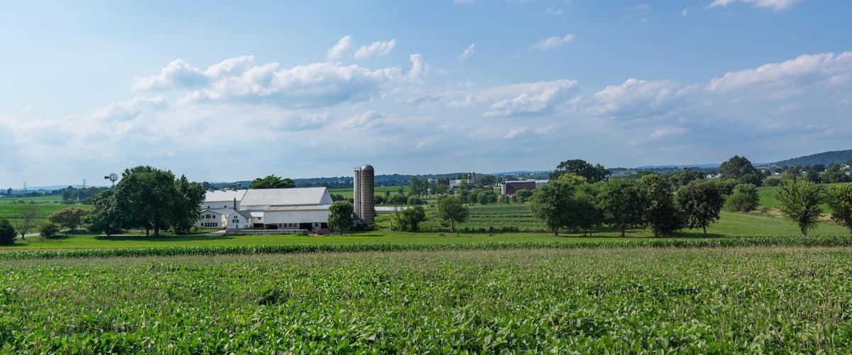 A rural landscape with a large white building, a silo, and a field of crops under a partly cloudy sky.