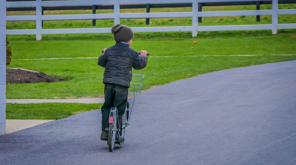 Unidentified little amish boy playing with his roller bikes or scootersin the backyard of his house