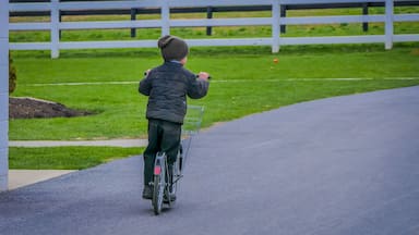 Unidentified little amish boy playing with his roller bikes or scootersin the backyard of his house