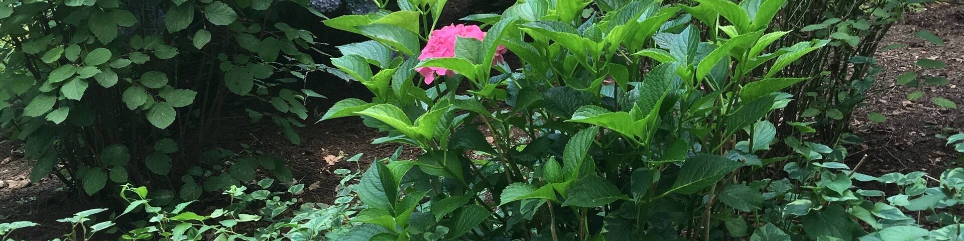 The Garden of Five Senses. As its name implies, this garden provides stimulation for all the senses. The garden is resplendent with color throughout the year, and during spring and summer, its flowers provide a bouquet of scents. Visitors can also test their sense of smell by trying to identify mystery scents at stops along the garden's path.