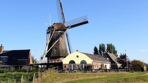 Molen in blue
