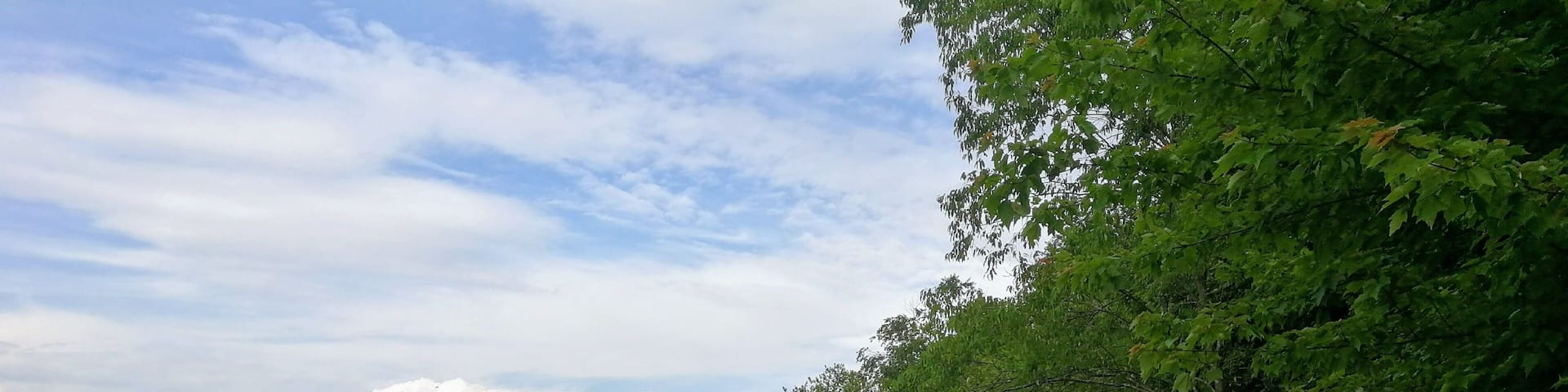 Moraine State Park, Pleasant Valley Road, Portersville, PA - June 2020