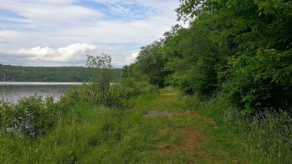 Moraine State Park, Pleasant Valley Road, Portersville, PA - June 2020