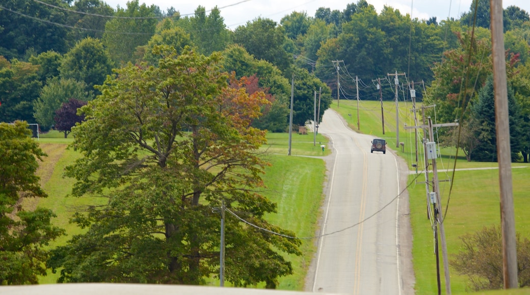 Greensburg que incluye escenas tranquilas