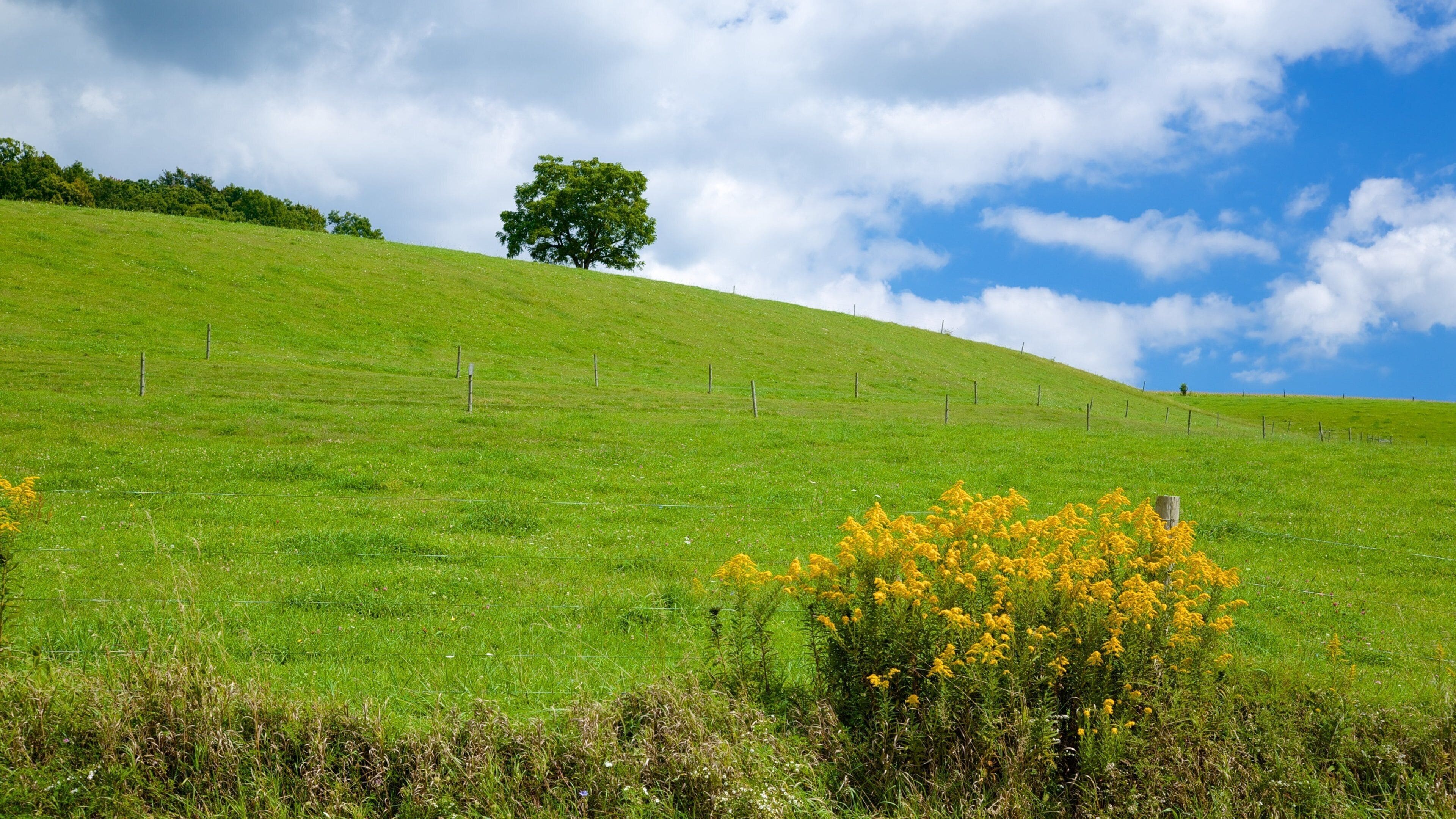 Greensburg showing farmland
