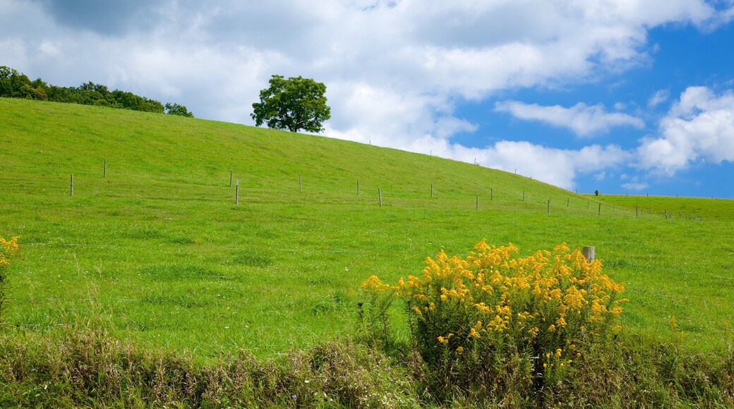 Greensburg ofreciendo tierras de cultivo