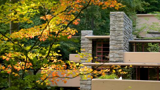 Fallingwater caratteristiche di foresta, architettura moderna e foglie d\'autunno