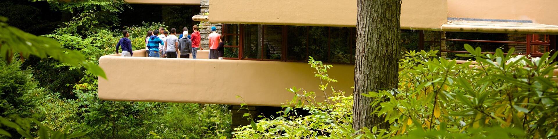 Fallingwater som visar regnskog och modern arkitektur sÄvÀl som en liten grupp av mÀnniskor