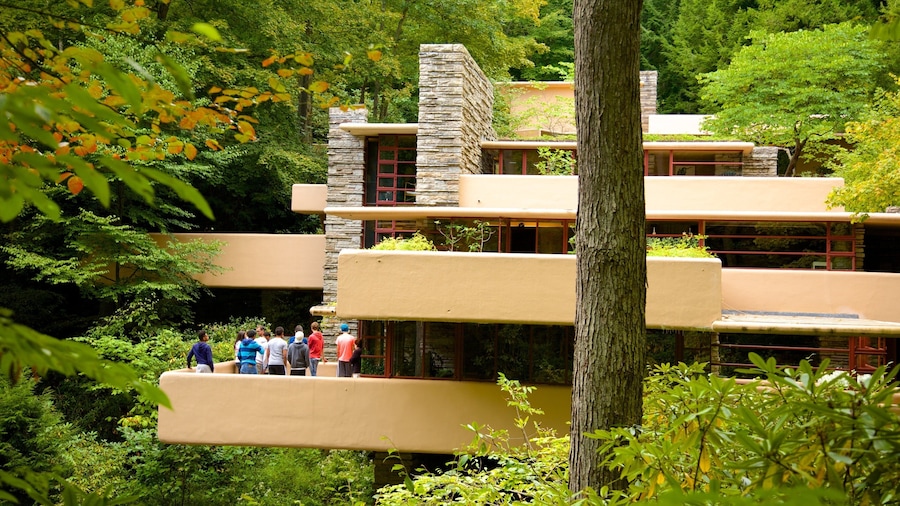 Fallingwater mostrando arquitetura moderna e floresta tropical assim como um pequeno grupo de pessoas
