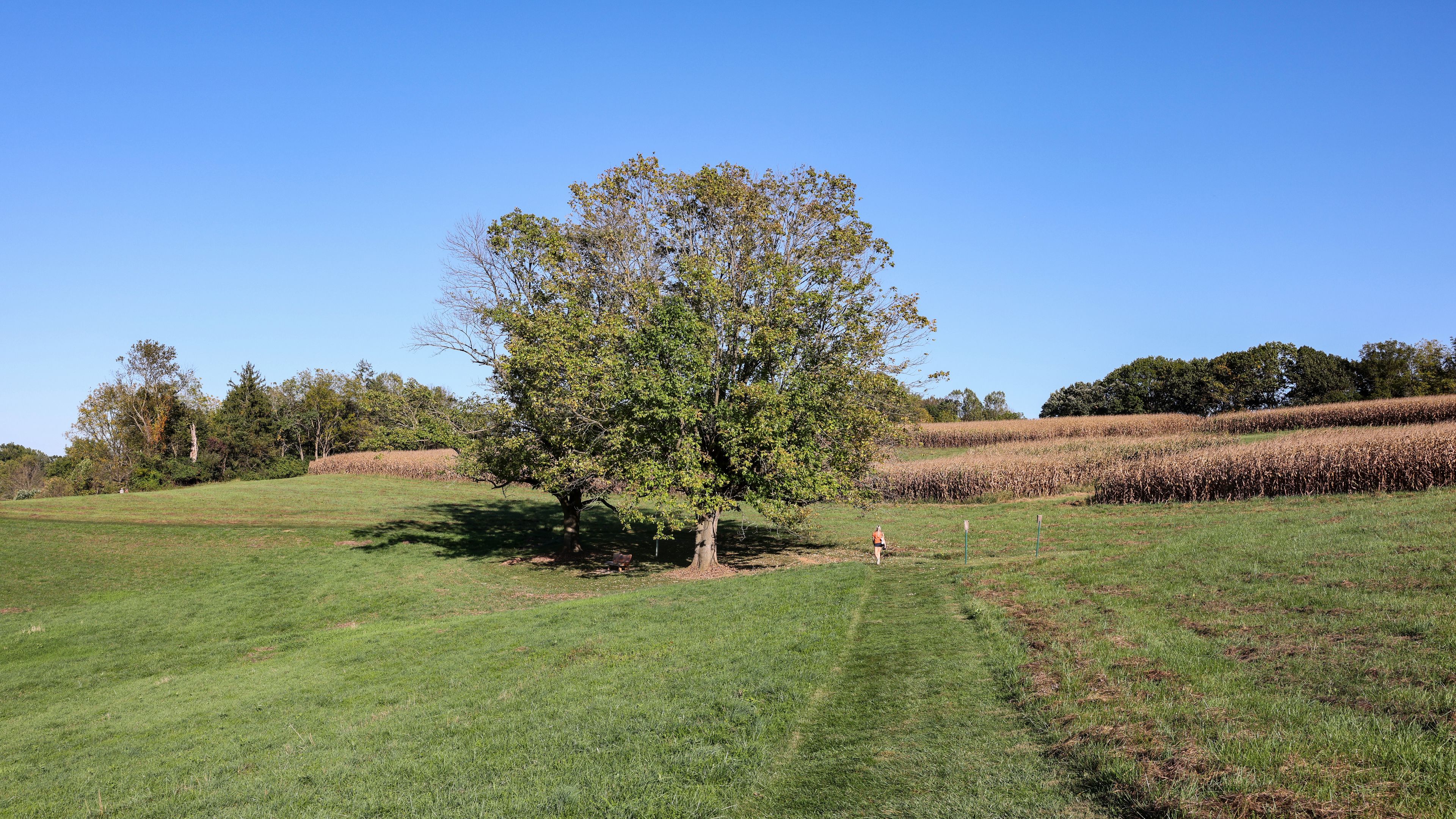 The scenery of Stroud Preserve of Natural Lands in early fall, West Chester, Pennsylvania