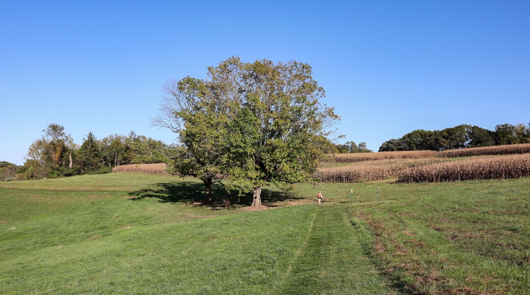 The scenery of Stroud Preserve of Natural Lands in early fall, West Chester, Pennsylvania