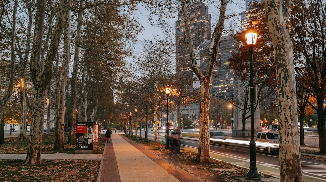 Center City which includes night scenes and a garden