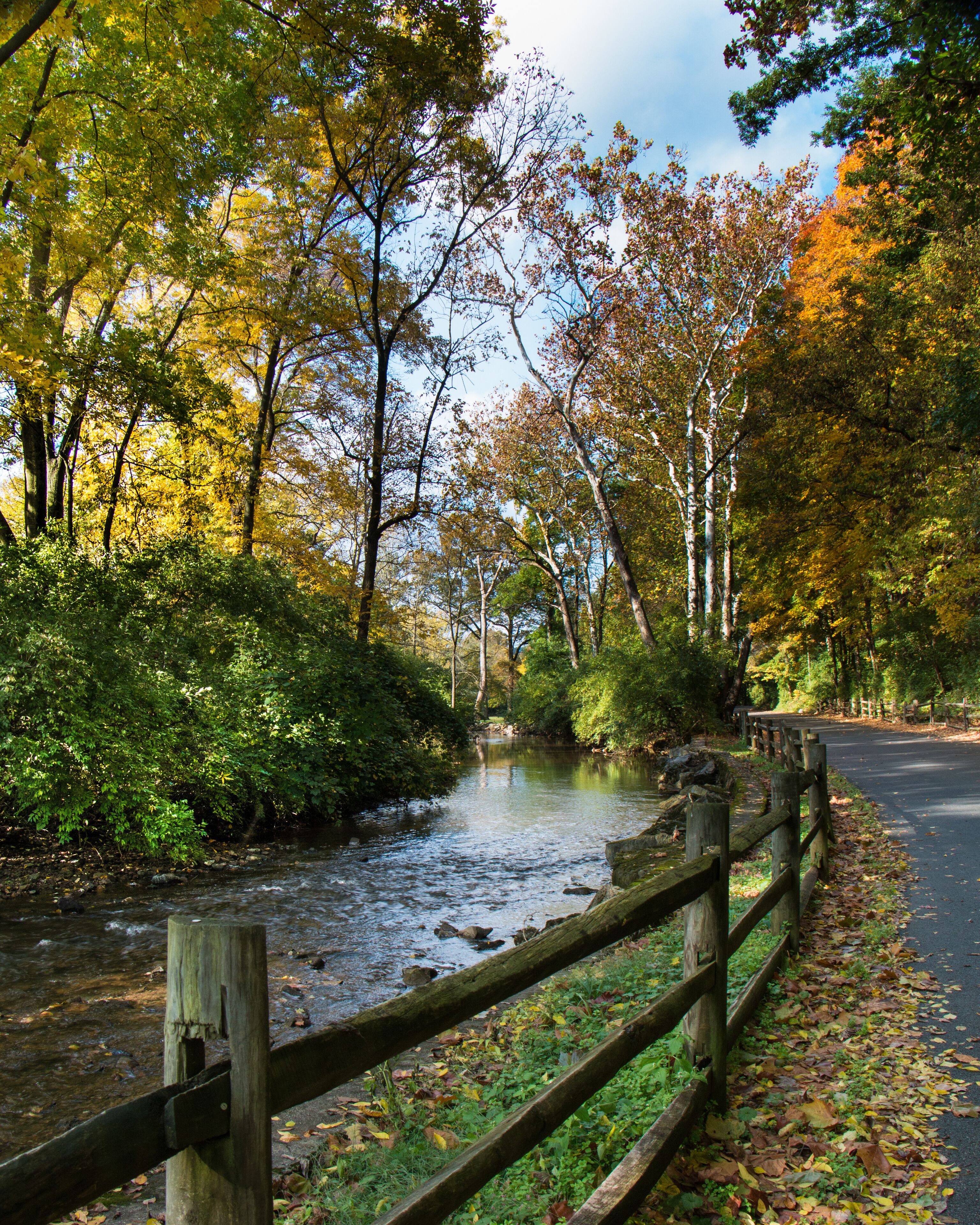 Rural Autumn scene along an autumn road through Wyomissing Park