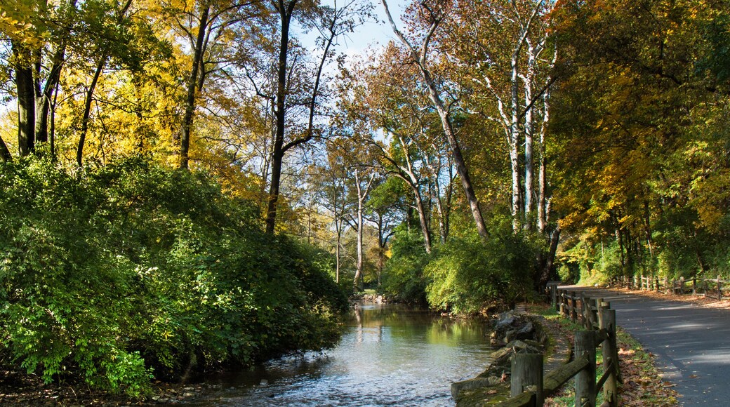 Rural Autumn scene along an autumn road through Wyomissing Park