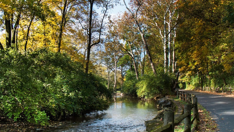 A river flowing through a forest with a wooden fence along the path.