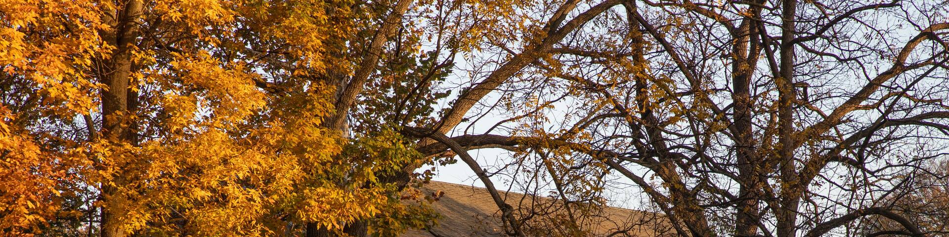 Dawn reflects on a red barn in a Pennsylvania park