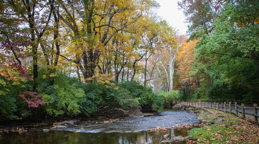 Wyomissing Creek surrounded by fall foliage near Reading, PA