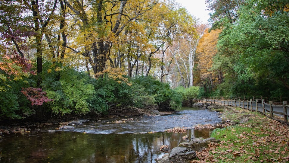 A river flowing through a forest with autumn-colored trees and a wooden fence along the path.