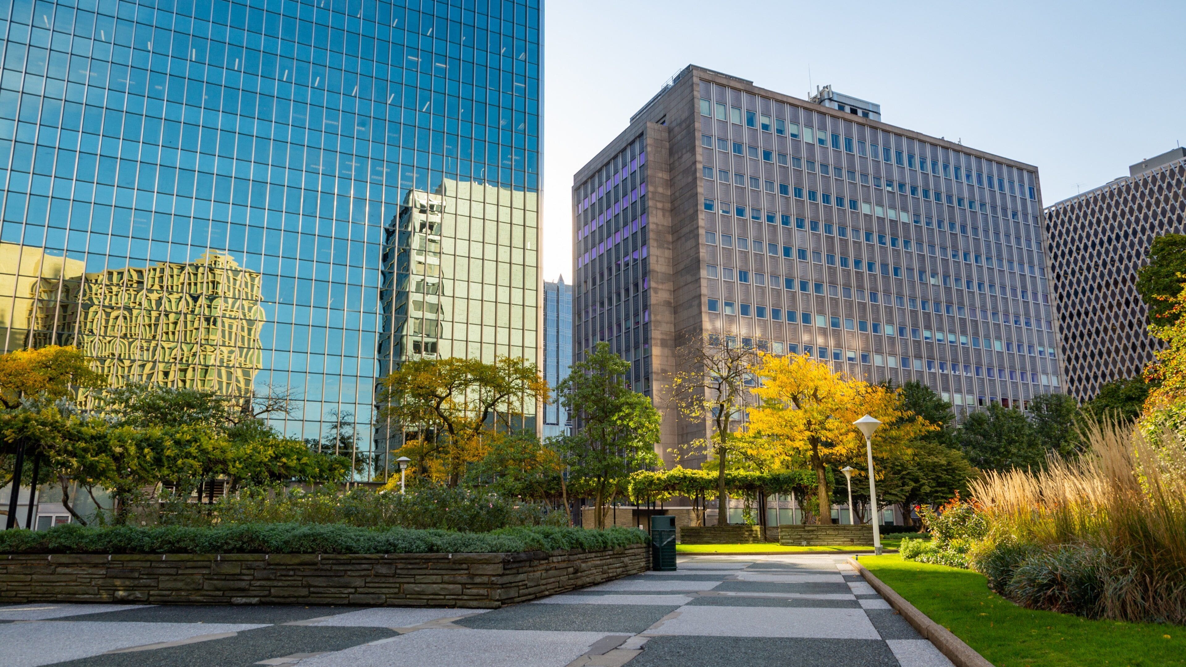 Downtown Pittsburgh featuring a garden and a city