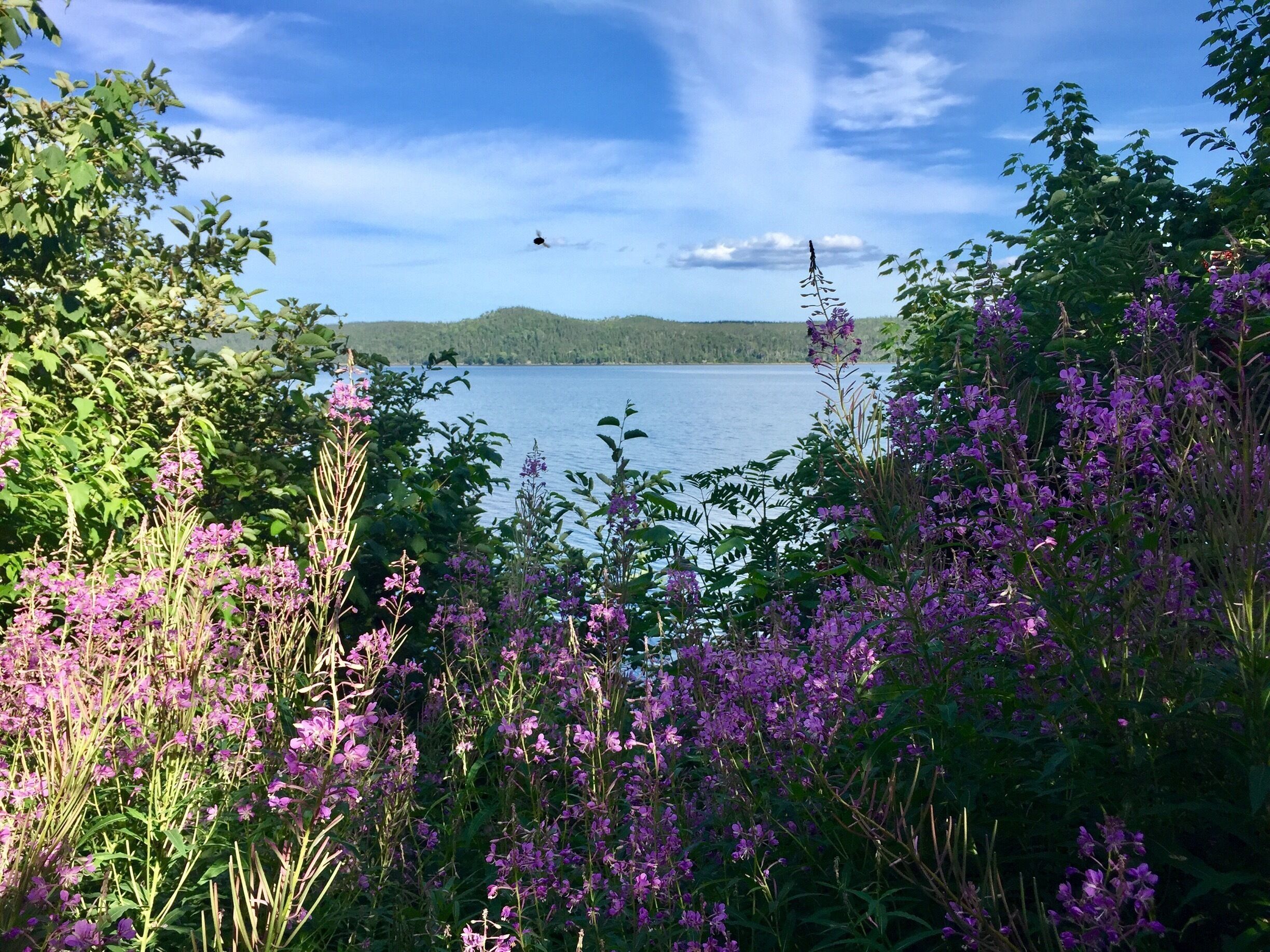 Located in Terra Nova National Park, this is another beautiful Newfoundland location. 
