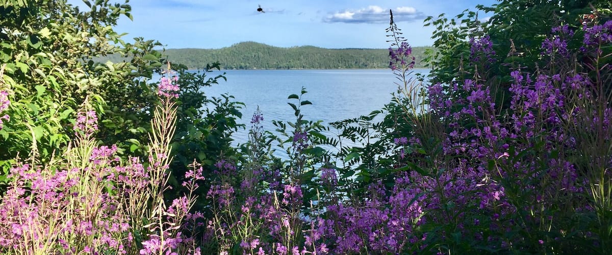 Located in Terra Nova National Park, this is another beautiful Newfoundland location.