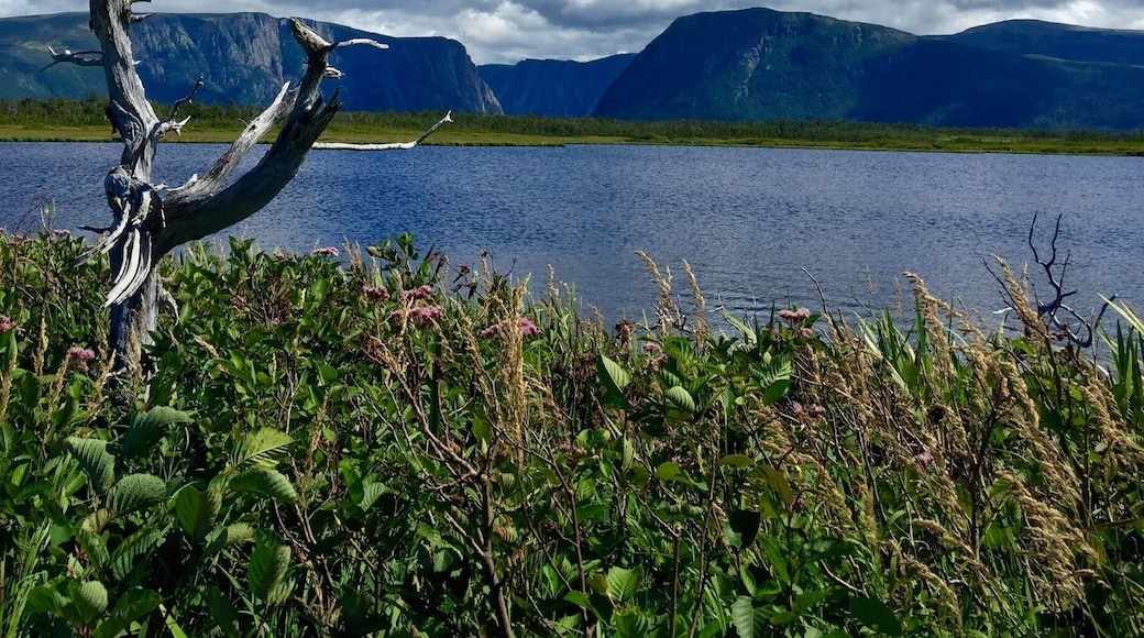 The landlocked fjord of Western Brook Pond is a rare sight. Carved by glaciers, and home to plenty of waterfalls and wildlife, it’s worth the trip alone.