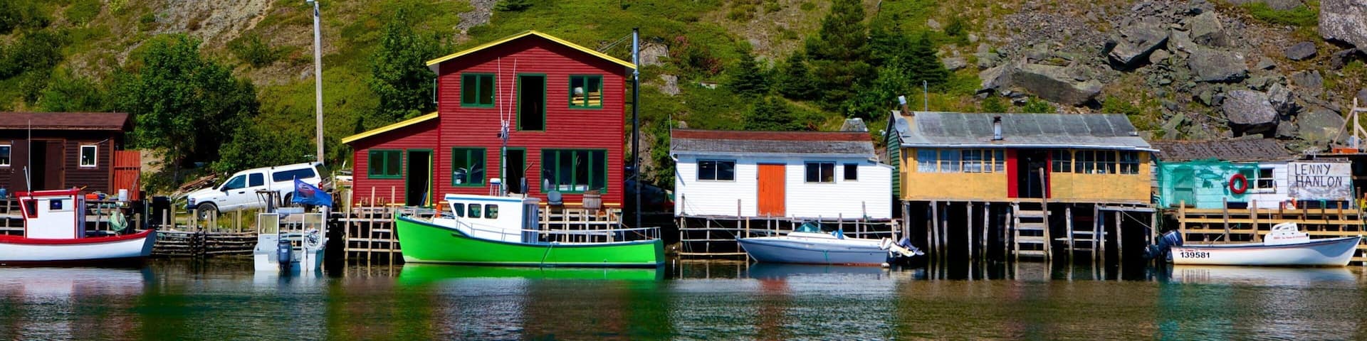 Quidi Vidi