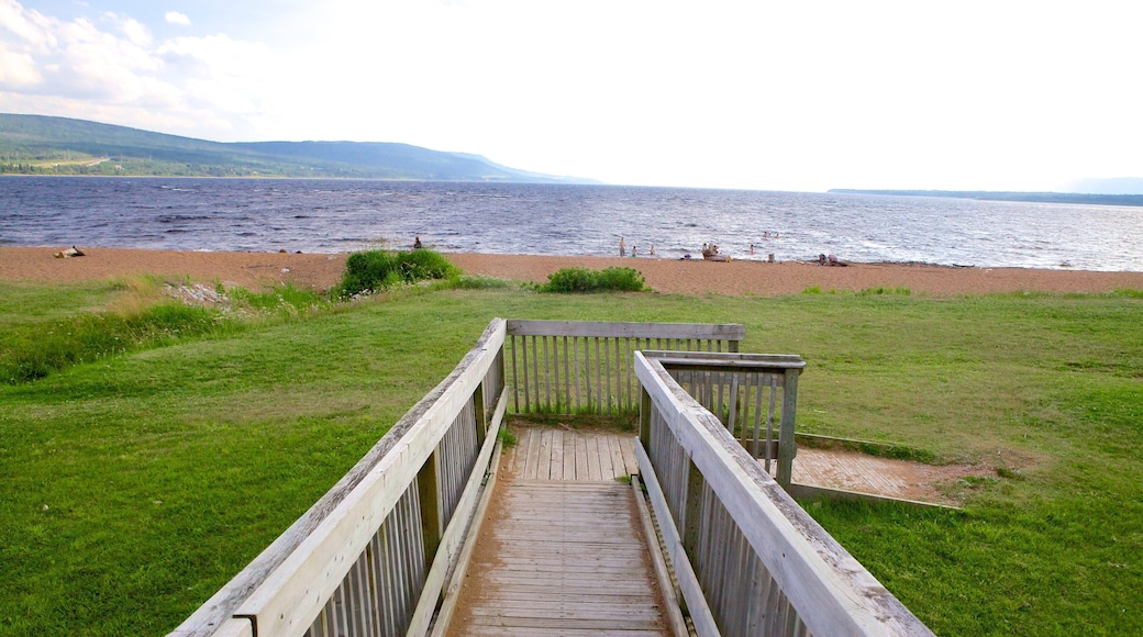 Deer Lake - Corner Brook featuring ranta