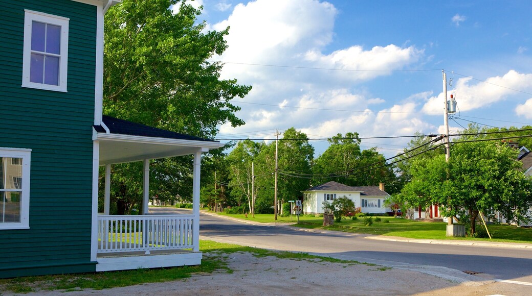 Deer Lake - Corner Brook showing a house, a small town or village and street scenes