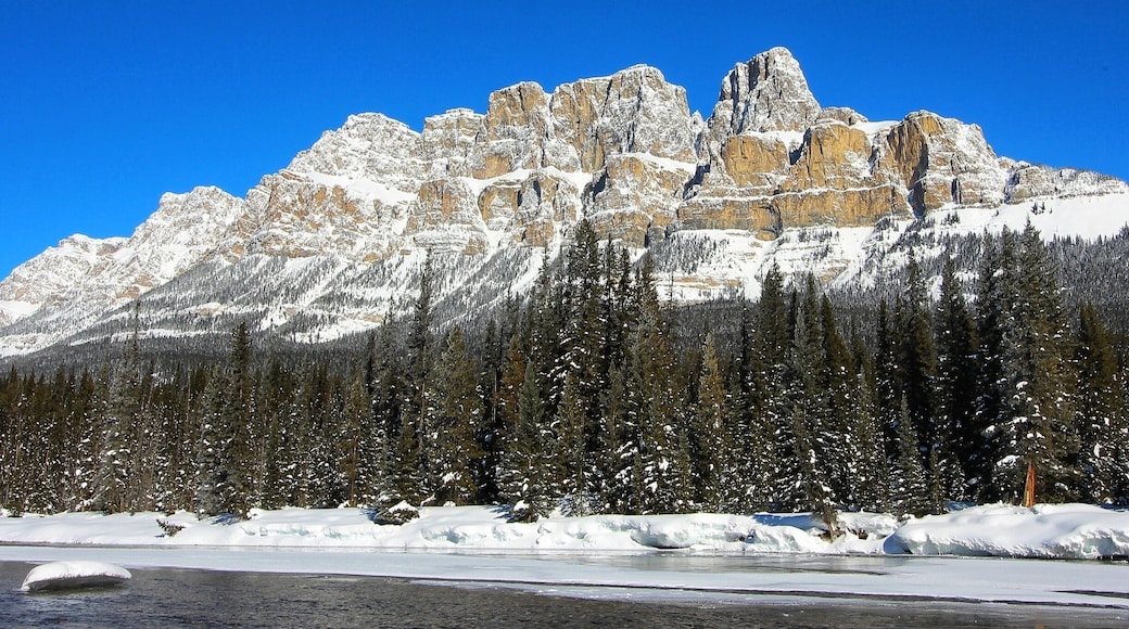 Just over the Bow River from the Castle Mountain Chalets, there is this fantastic view of Castle Mountain. Snowy mountains on cold clear skies are the best!