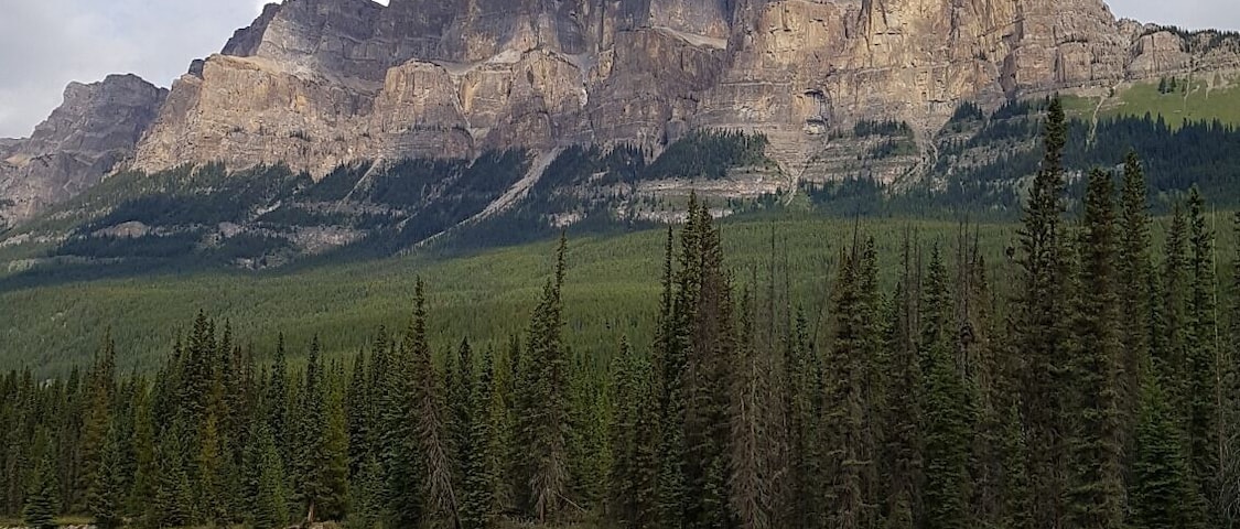 The clouds actually made this more interesting!