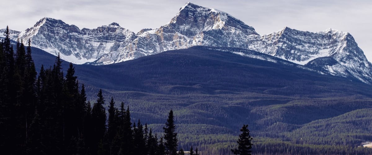 view from the hike up castle mountian. looking in the bow valley.
#bvmountains