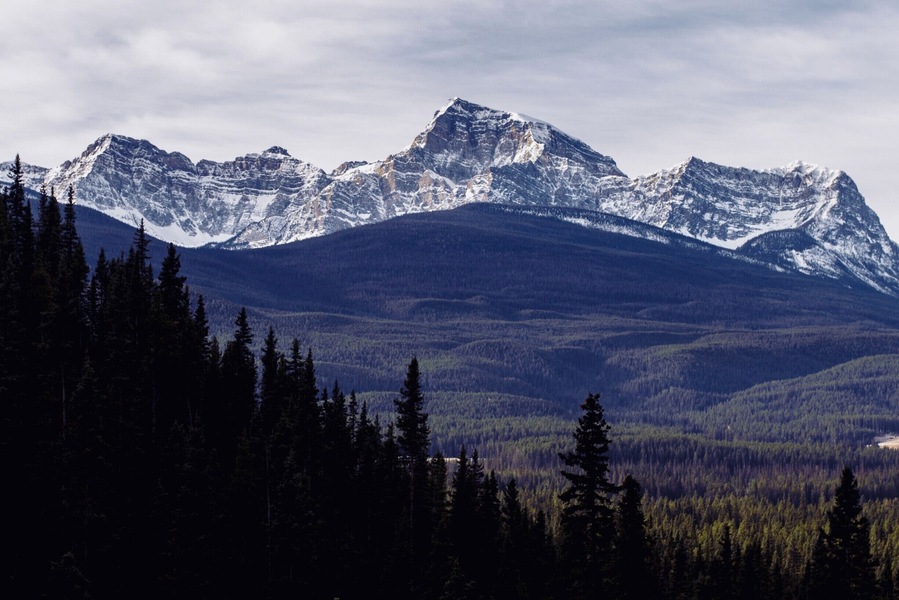 view from the hike up castle mountian. looking in the bow valley.
#bvmountains