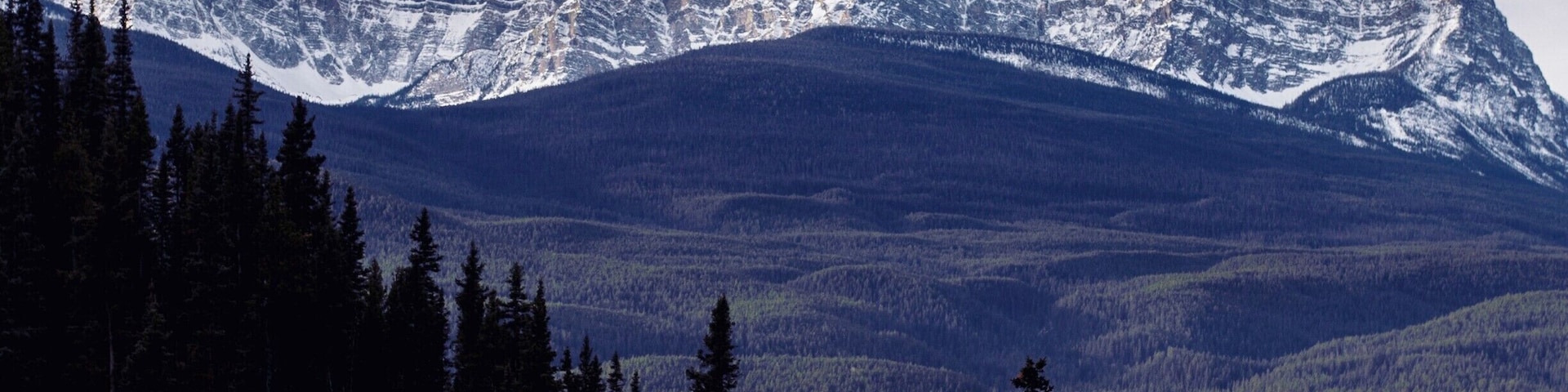 view from the hike up castle mountian. looking in the bow valley.
#bvmountains