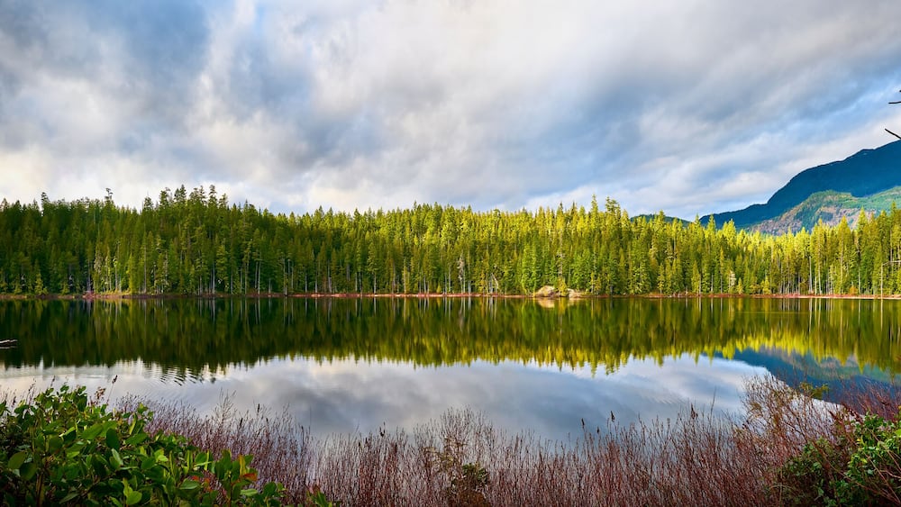 Ein ruhiger See, umgeben von dichtem Wald und Bergen.