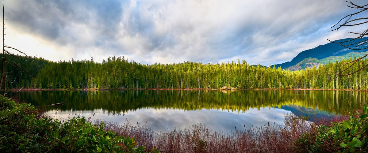 Un lac paisible, entouré d’une forêt dense et de montagnes.