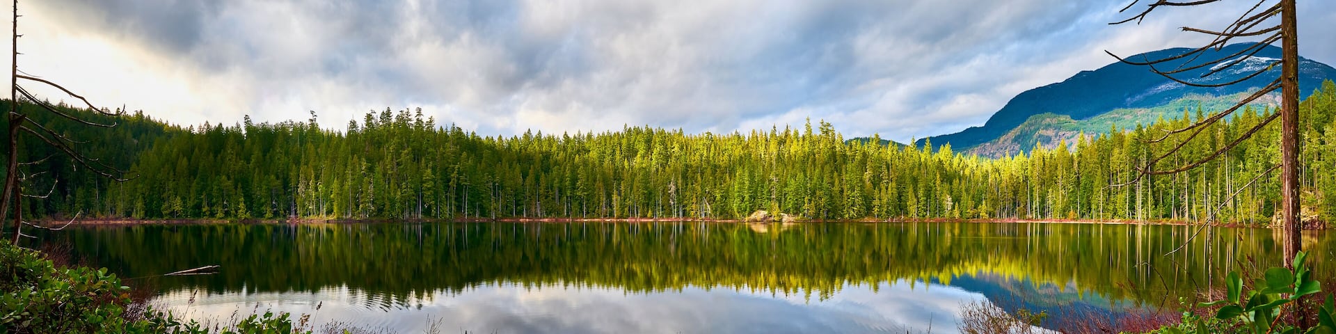 A calm lake surrounded by dense forest and mountains.
