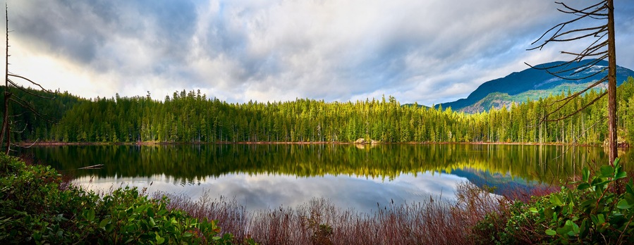 Un lac paisible, entouré d’une forêt dense et de montagnes.