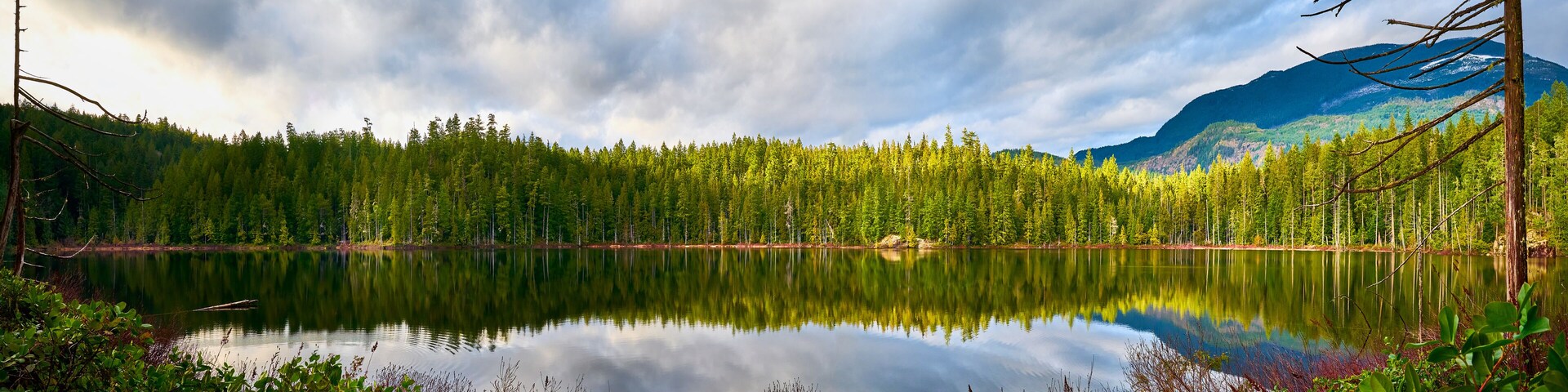 Un lago tranquilo rodeado de un bosque denso y montañas.