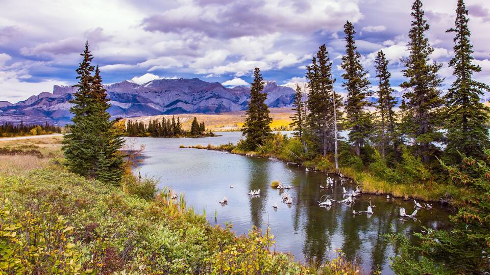 Clouds are reflected in the water