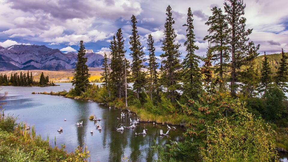 The valley along the Pocahontas road