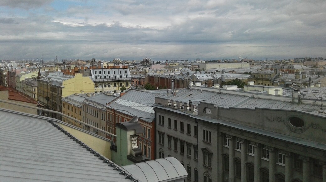 Петроградка, Крыши