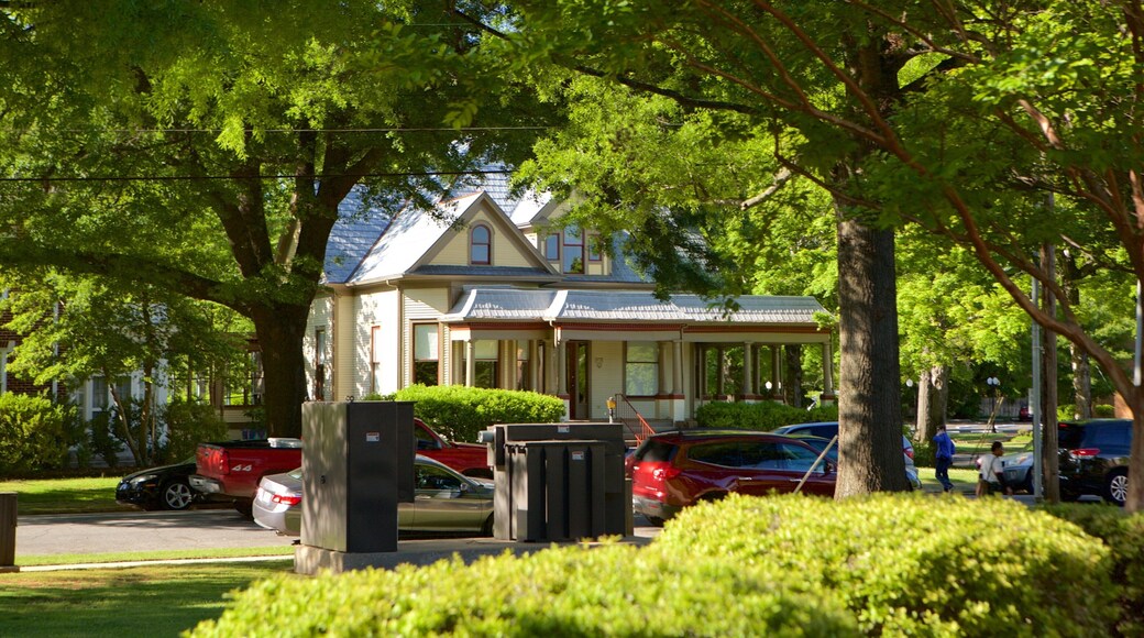 Florence showing a house