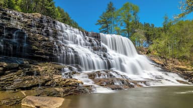 Welti Falls near Cullman, AL.